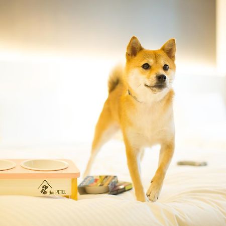 The Petel Premium Suite Busan Bagian luar foto