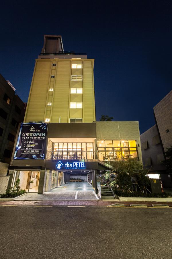 The Petel Premium Suite Busan Bagian luar foto