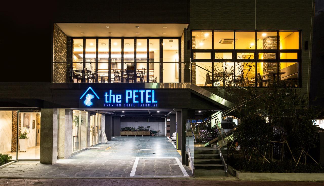 The Petel Premium Suite Busan Bagian luar foto