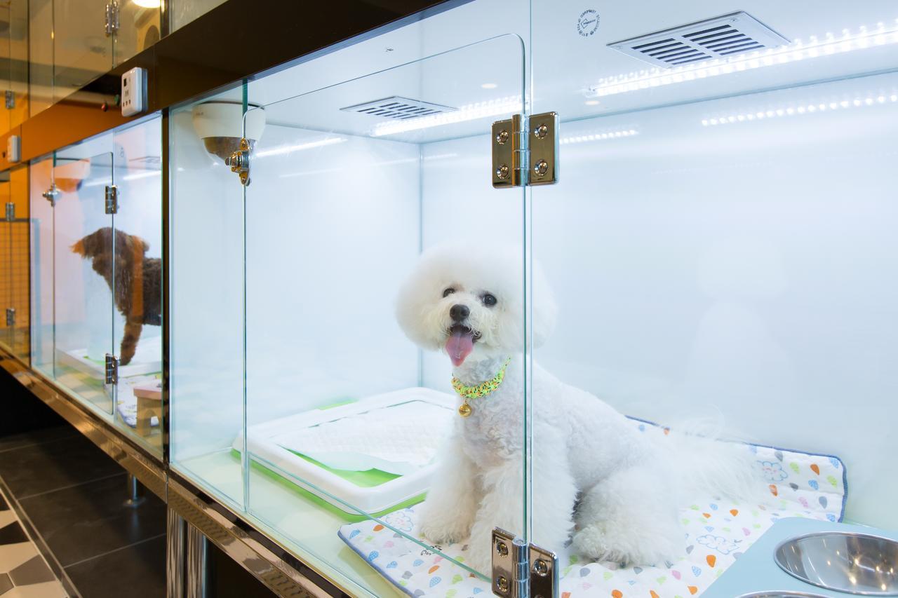 The Petel Premium Suite Busan Bagian luar foto