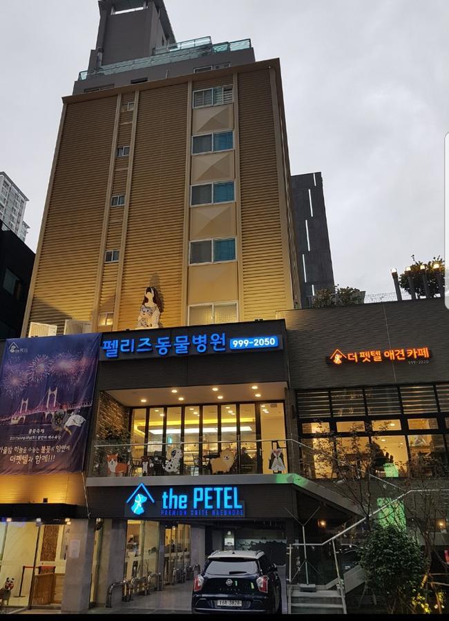 The Petel Premium Suite Busan Bagian luar foto